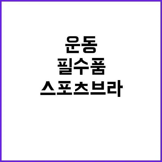 스포츠 브라 운동 …