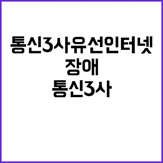 통신 3사 유선 인…