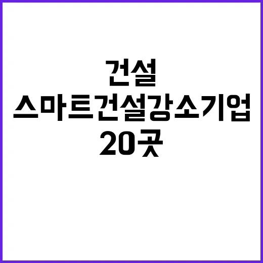 스마트건설 강소기업 올해 선정된 20곳名单