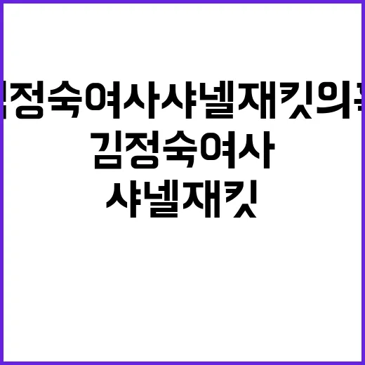 김정숙 여사 샤넬 …