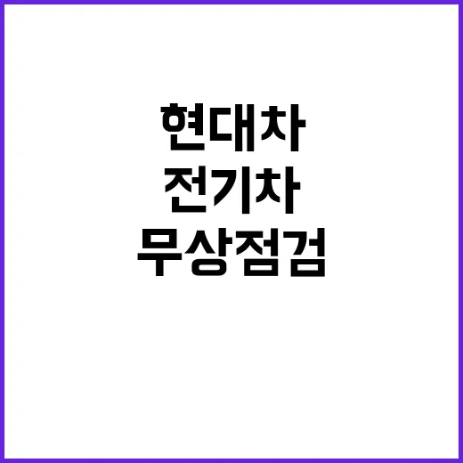 현대차그룹 전기차 …