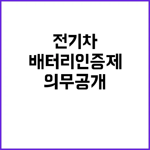 전기차 배터리 인증…