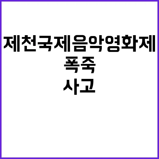 제천국제음악영화제 사고 폭죽 16명 부상!