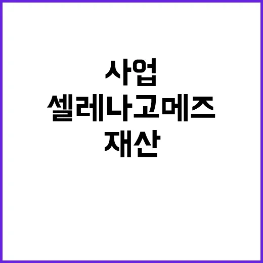 셀레나 고메즈 재산…