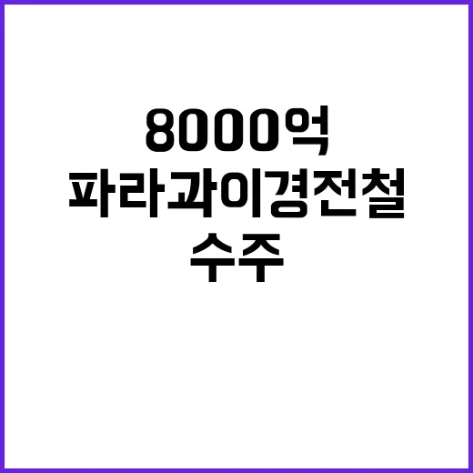 파라과이 경전철 사업 팀코리아 8000억 수주 무산