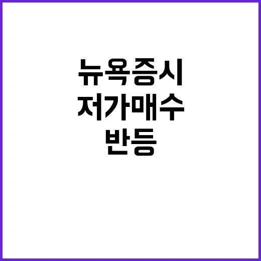 뉴욕증시 반등 저가 매수 다우 1.2% 상승