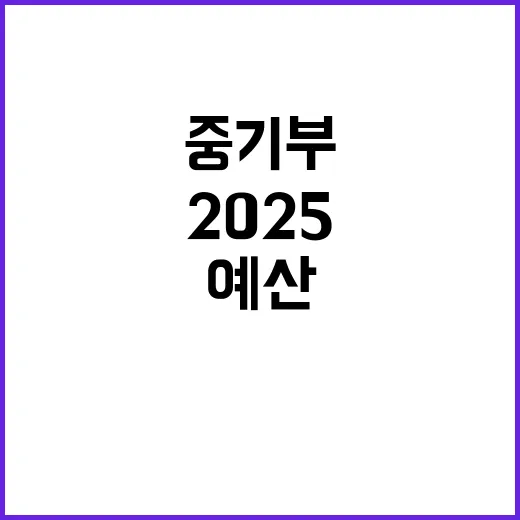 중기부 예산 증액 2025 팁스R&D 40% 상승!