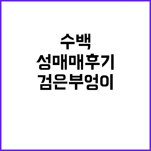 검은 부엉이 수백 …