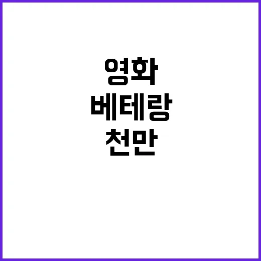 베테랑 영화 관객 …