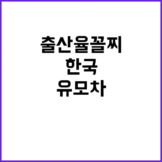 출산율 꼴찌 한국 …