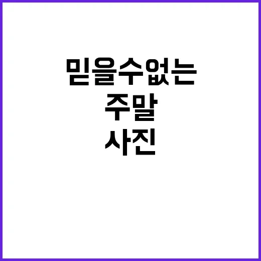 사진 믿을 수 없는 주말!