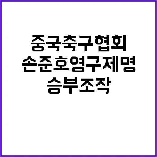 중국 축구협회 손준호 영구 제명 승부조작!