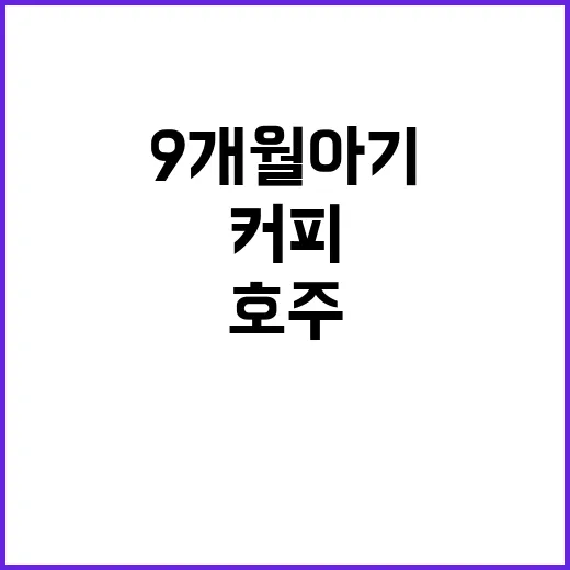 호주 9개월 아기 …