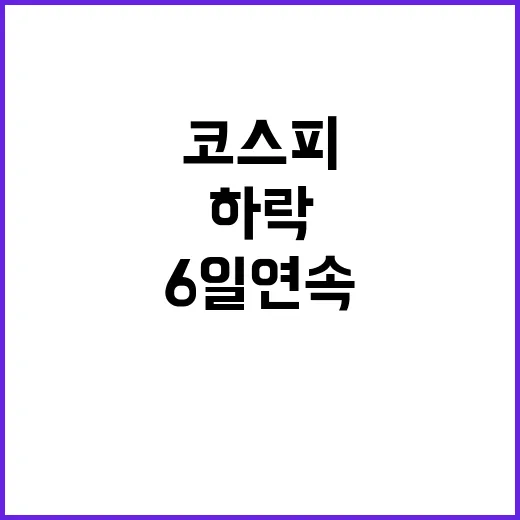 미증시 반등 코스피…