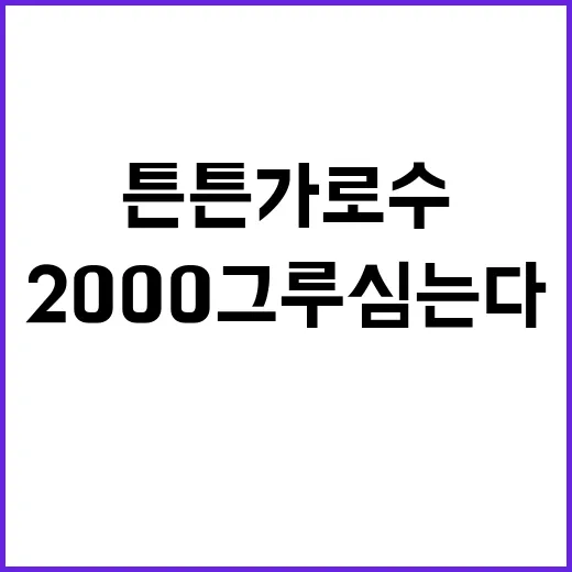 시청역 역주행 참사…