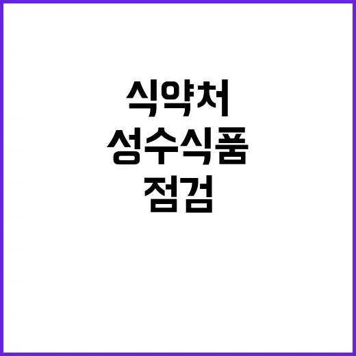 식약처 성수식품 점검 위반업체 63곳 적발