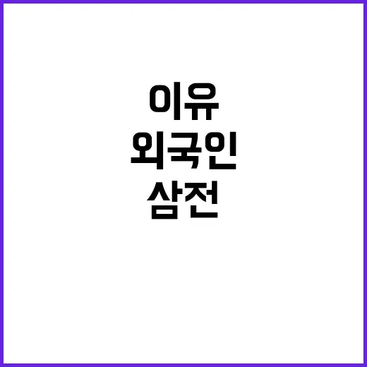 삼전·하이닉스 외국…