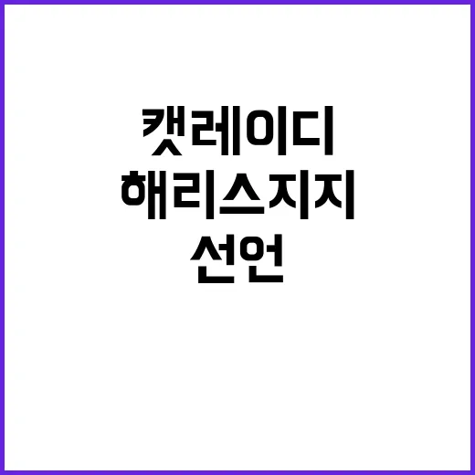 스위프트 해리스 지…