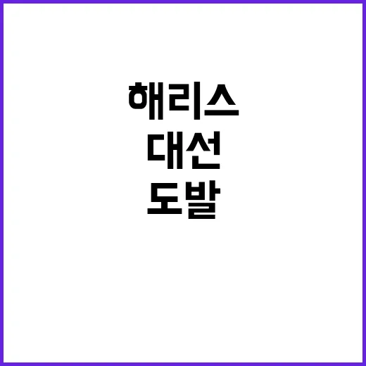 미 대선 해리스의 도발 성공 여부는?