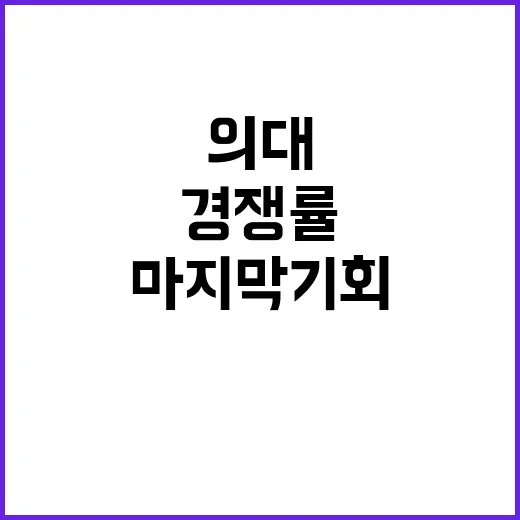 의대 지원 마지막 기회 11배 경쟁률!