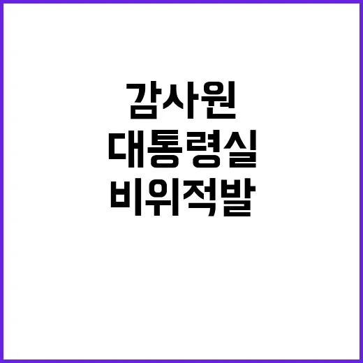 감사원 브로커 비위…