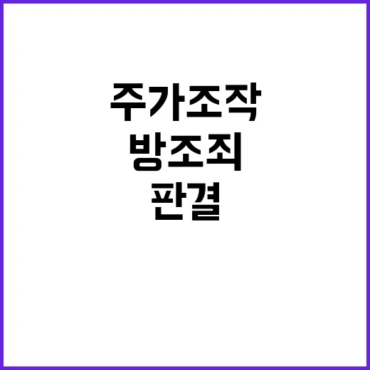 주가조작 유죄 방조…