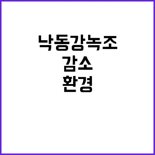 낙동강 녹조 감소 …