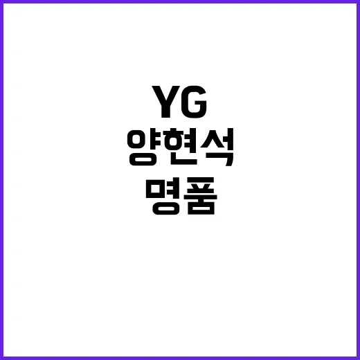 YG 양현석 명품 …