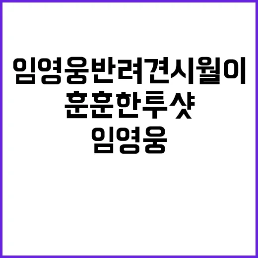 임영웅 반려견 시월…