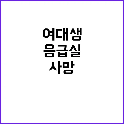 응급실 인력 부족 …