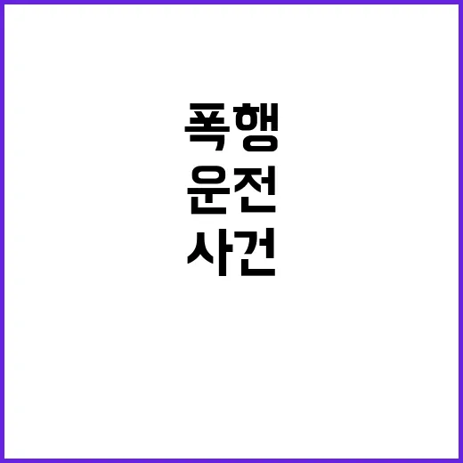 운전 중 폭행 사건…