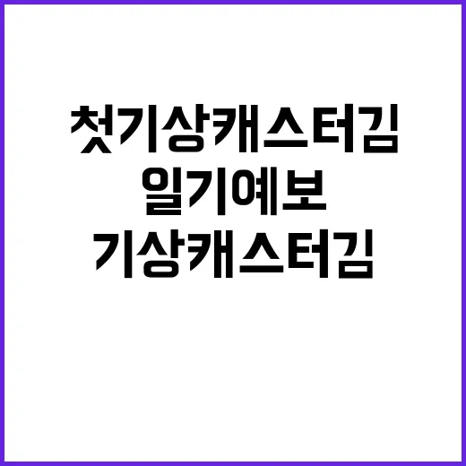 여우 시집 일기예보…