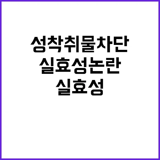 성착취물 차단 4년…