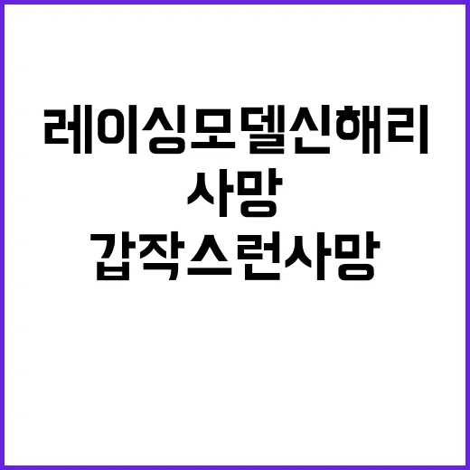 레이싱모델 신해리 …