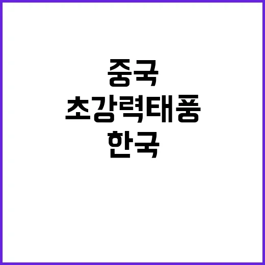 태풍 경보 한국만 …