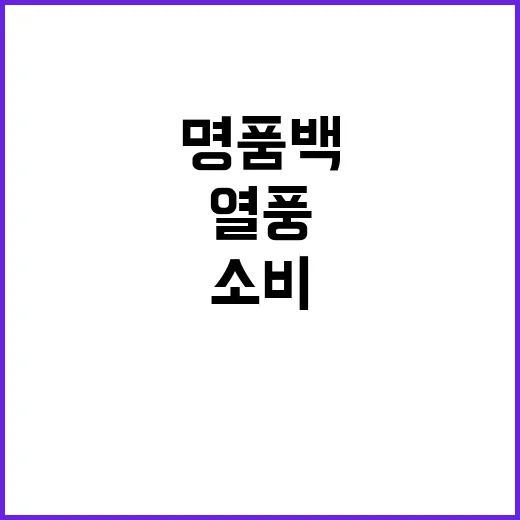 명품백 열풍 불황 …