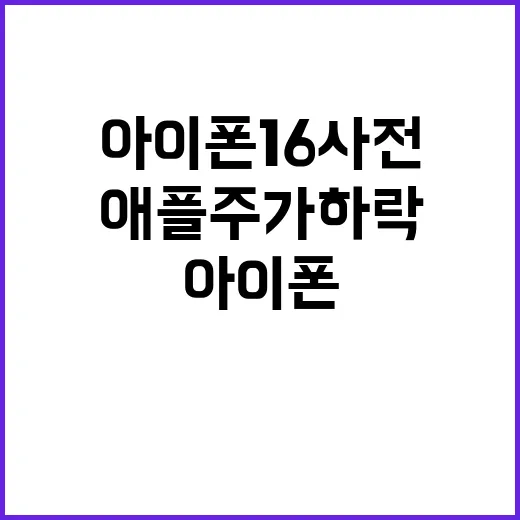 아이폰 16 사전 판매량 감소 애플 주가 하락 조짐