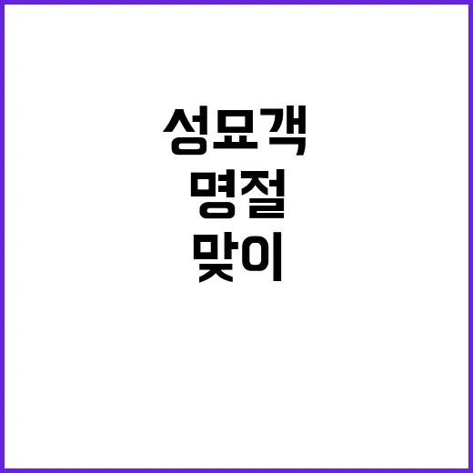 호국원 성묘객 명절…