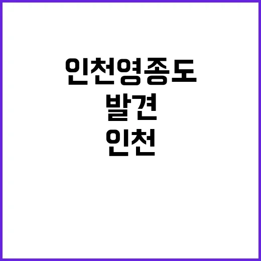 인천 영종도 외국인 남성 시신 발견!