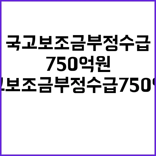 국고보조금 부정수급…