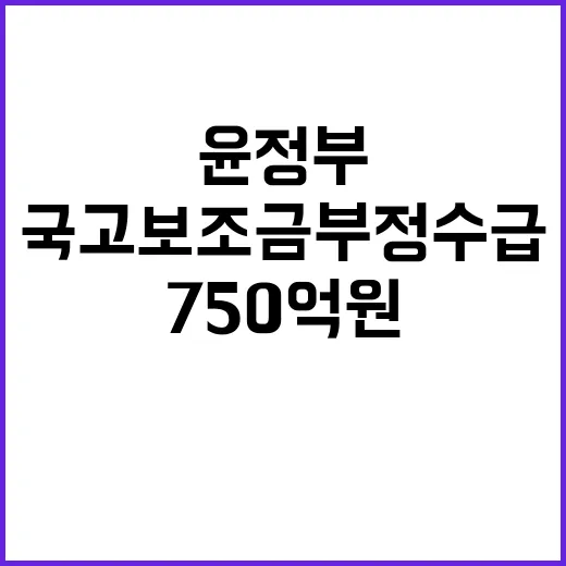 국고보조금 부정수급…