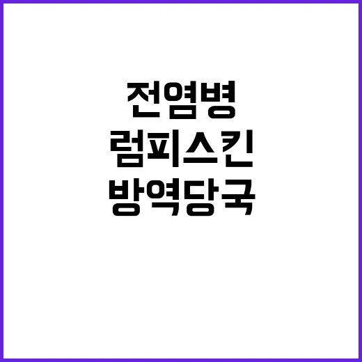 럼피스킨 공포 전염병 확산 방역당국 긴급 대응