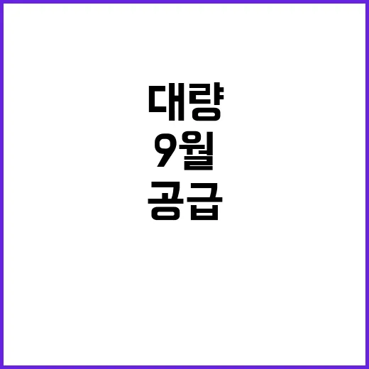 채소 폭발적 공급! 9월 말 대량 출하 기대