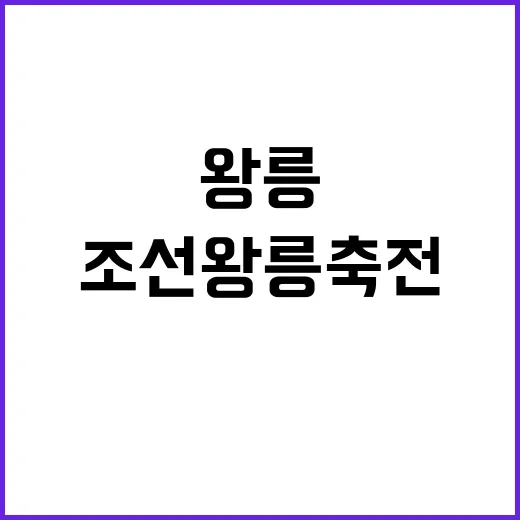 드론 라이트쇼 조선…