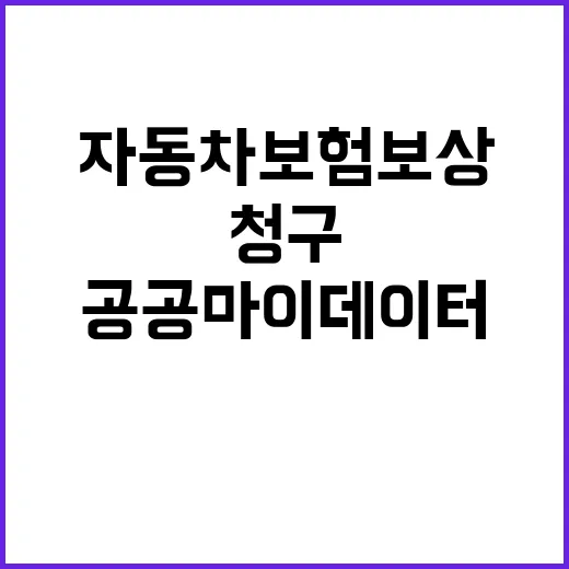 자동차보험 보상 공…