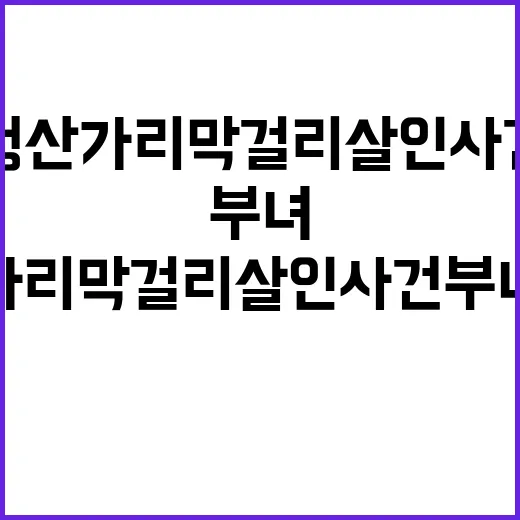 청산가리 막걸리 살인사건 부녀 재심 확정!