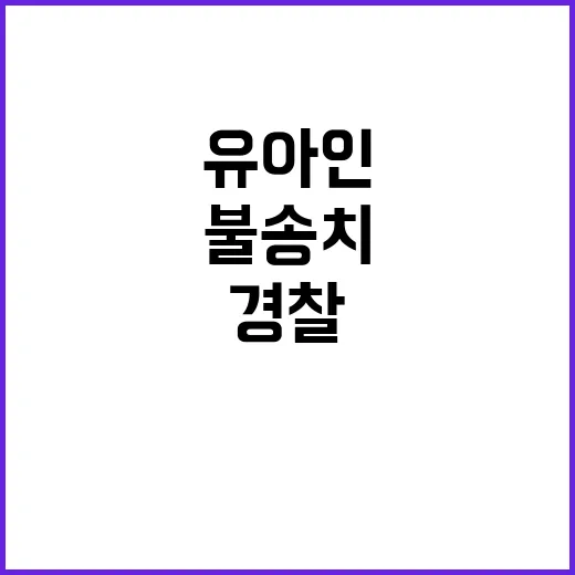 유아인 불송치 결정…