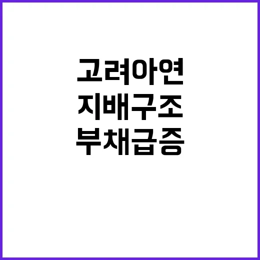 고려아연 부채 급증 지배구조 개선 시급!