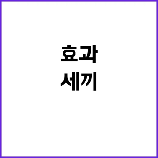 임영웅 효과 세끼 …