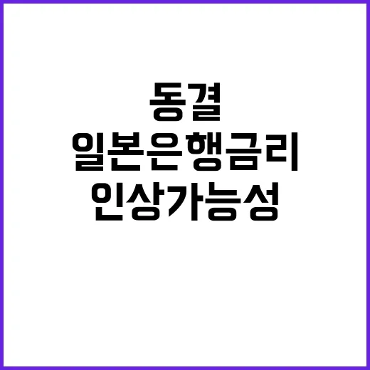 일본은행 금리 동결 인상 가능성? 자세한 내용은 여기!